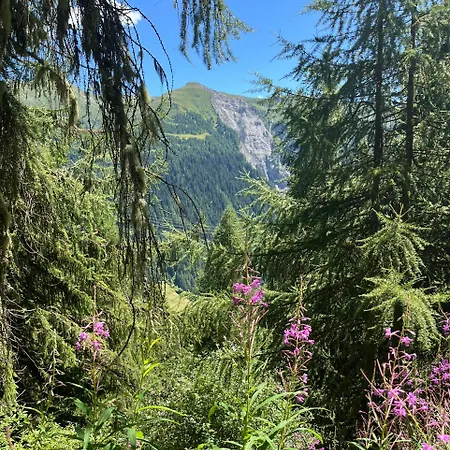 Edelweiss In Bellwald