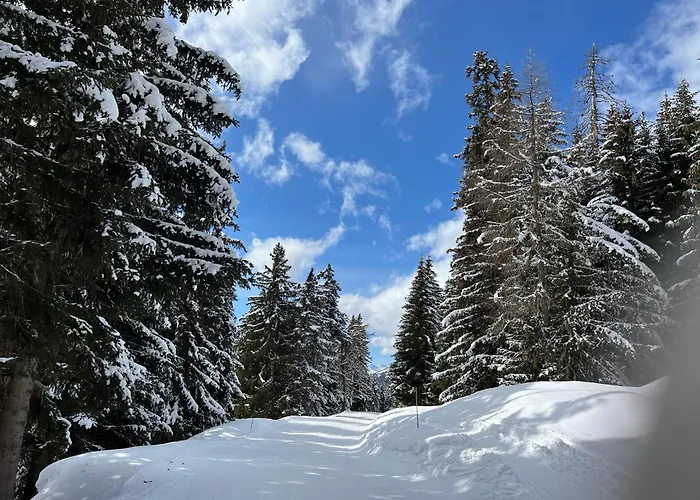 아파트 Edelweiss In
