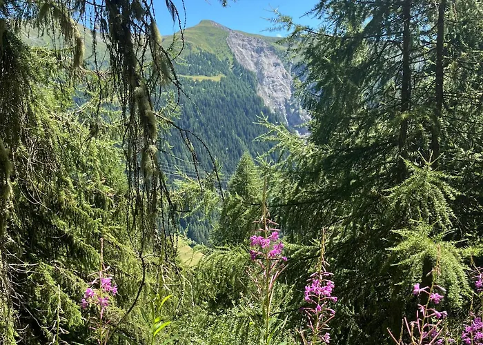 Edelweiss In Bellwald
